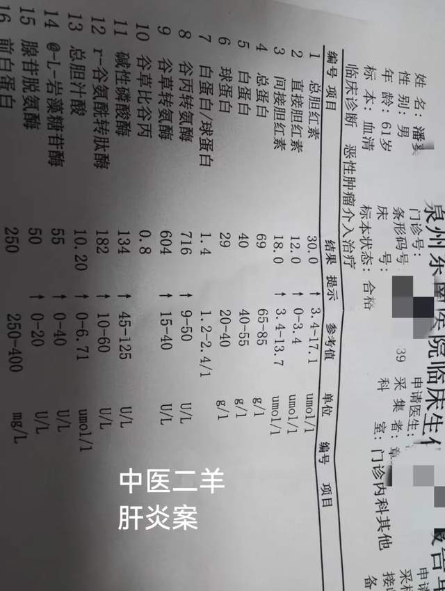 中医二羊：肝癌，乙肝黄疸案，经方茵陈蒿汤退黄疸降转氨酶